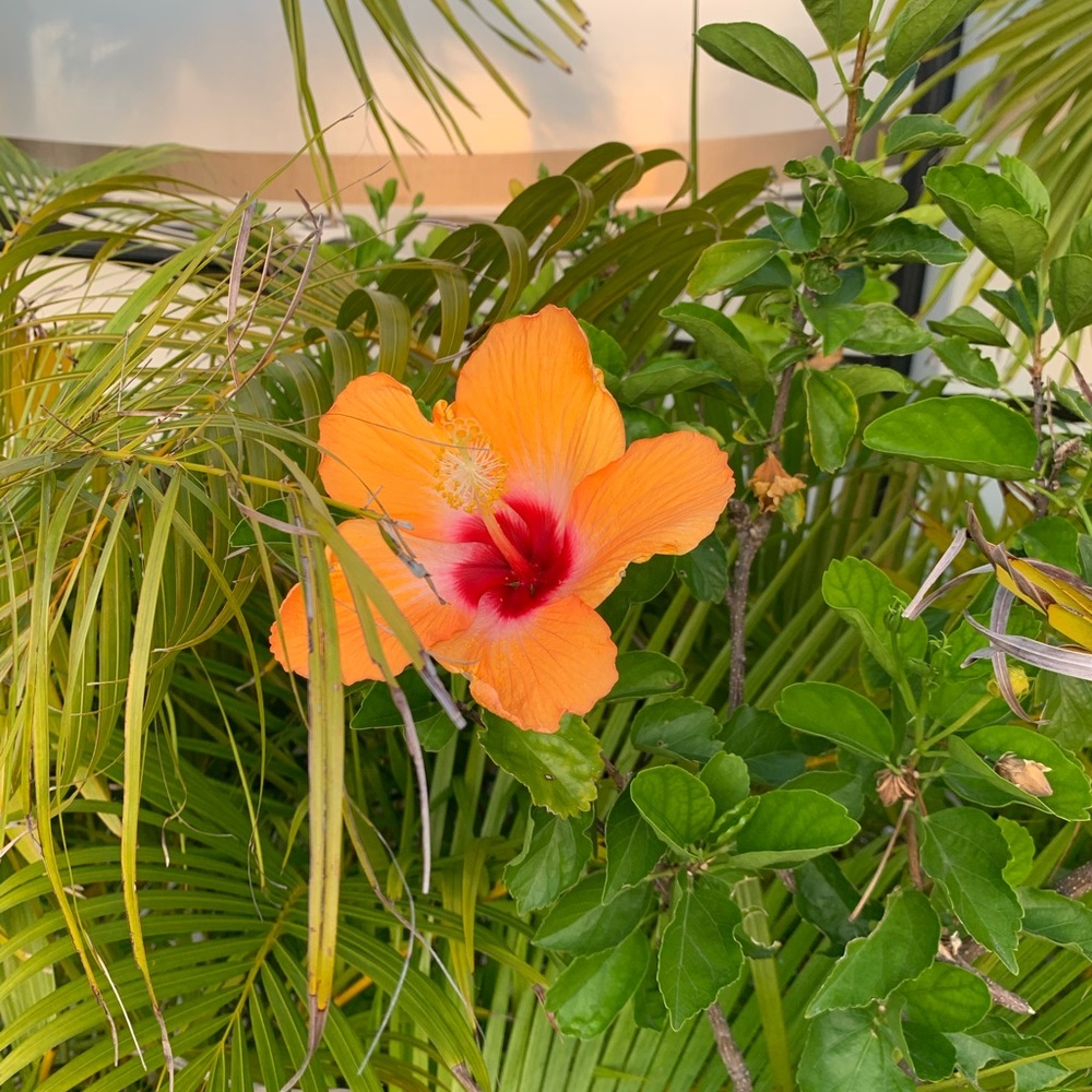 Meet your Poshers, Dianne + Addy